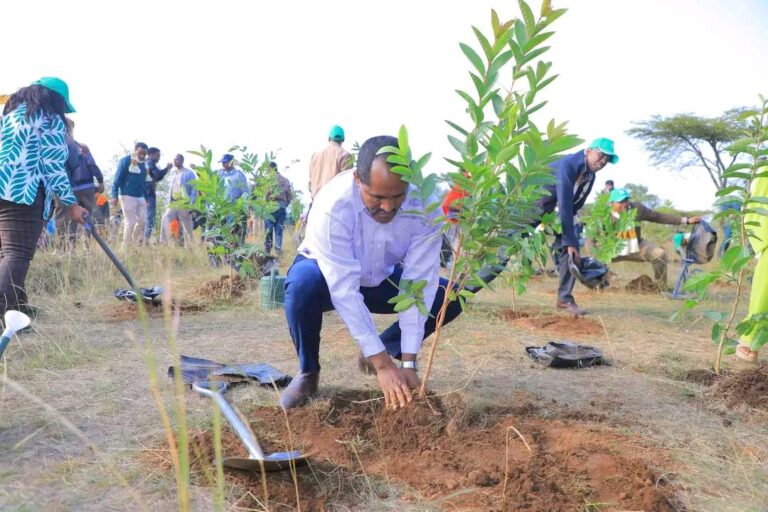 የአንድ ጀምበር የአረንጓዴ ዐሻራ መርሐ-ግብር በሀዋሳ ከተማ በሀዌላ ቱላ ክ/ከተማ ጫሬ በተሰኘ ሰፍራ ተካሄደ