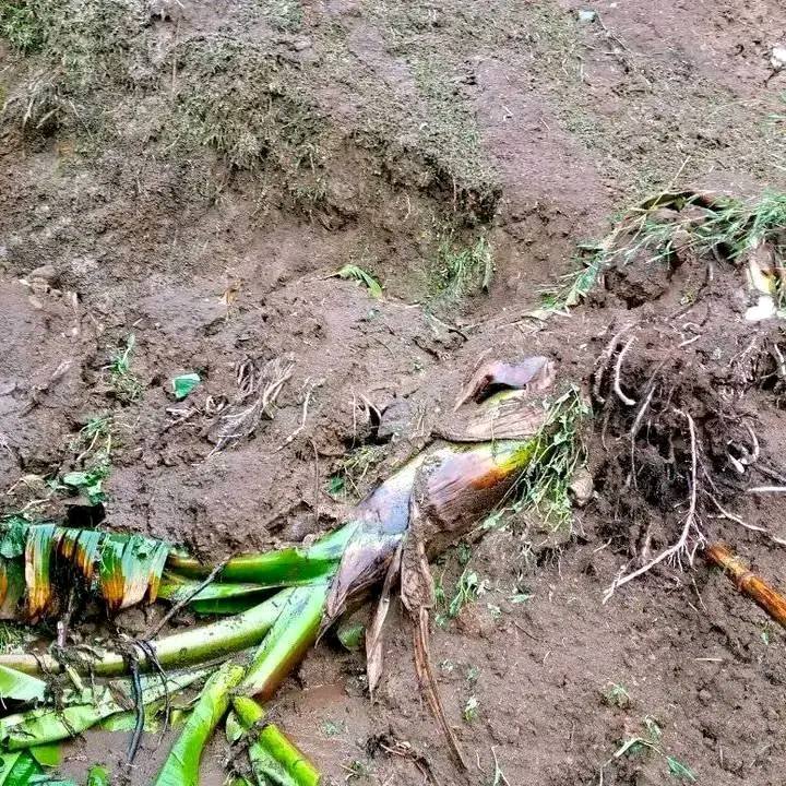 #የቅድመ-ማስጠንቀቂያ መልዕክት!