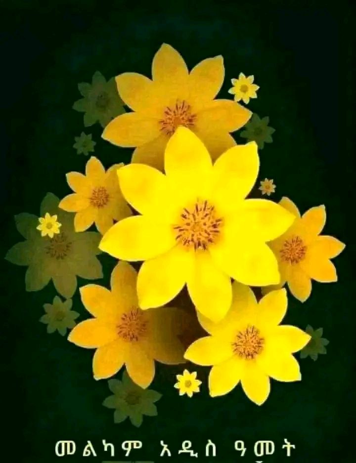 እንኳን ለ2018 ዓ.ም አዲሱ አመት በሰላም አደረሳችሁ!! መልካም አዲስ አመት!