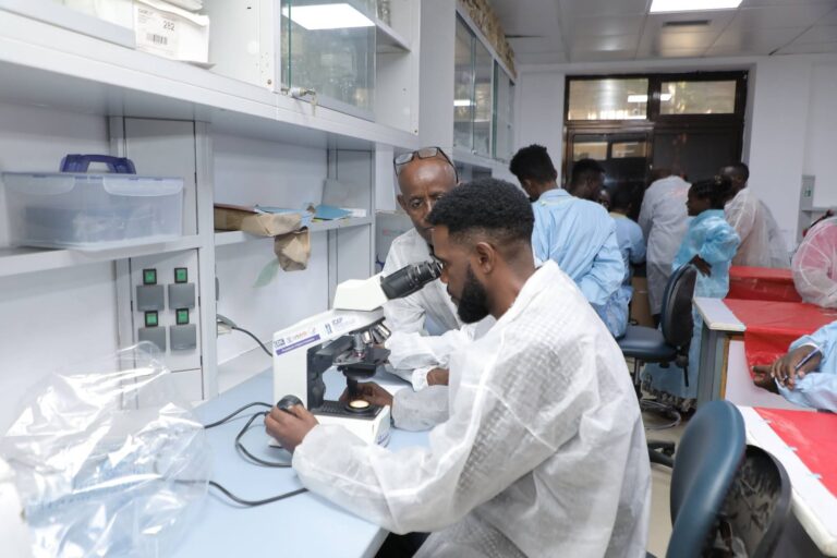 በሲዳማ ክልል የወባ በሽታ ስርጭትን ለመግታት ለላቦራቶሪ ባለሙያዎች ስልጠና መሰጠቱ ተገለጸ፡፡